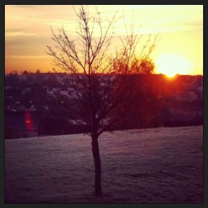 67987_658032824240802_228263557_n