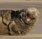 capture-decran-2016-09-28-13-12-33